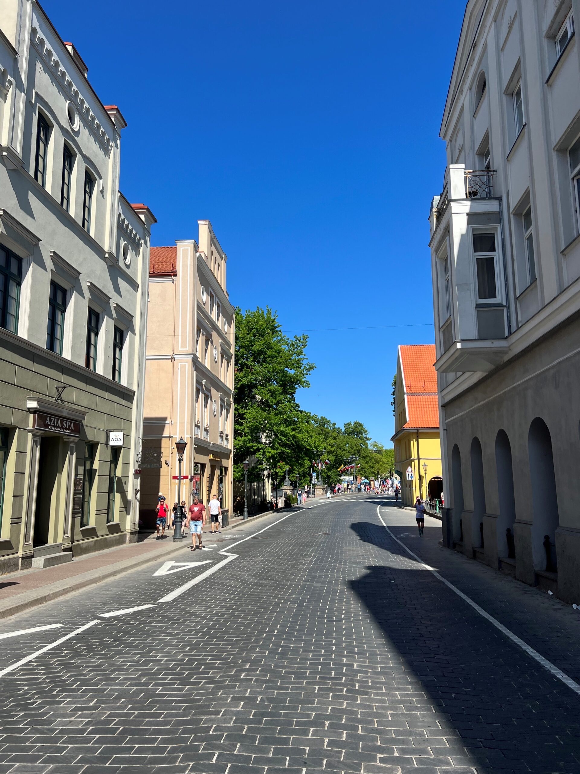Stadtrundfahrt im offenen Kleinbus