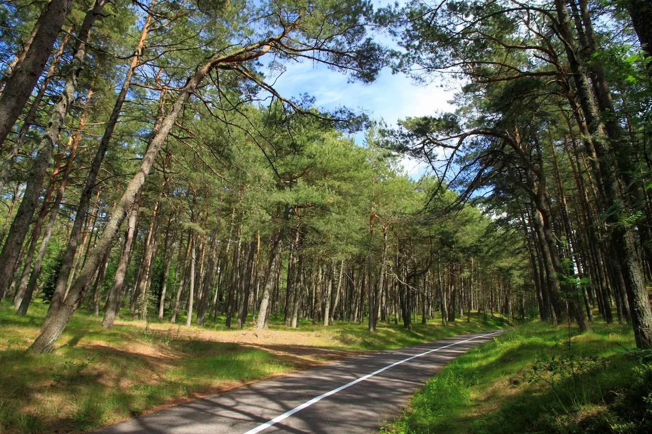 Wellness trails on the Klaipėda seaside