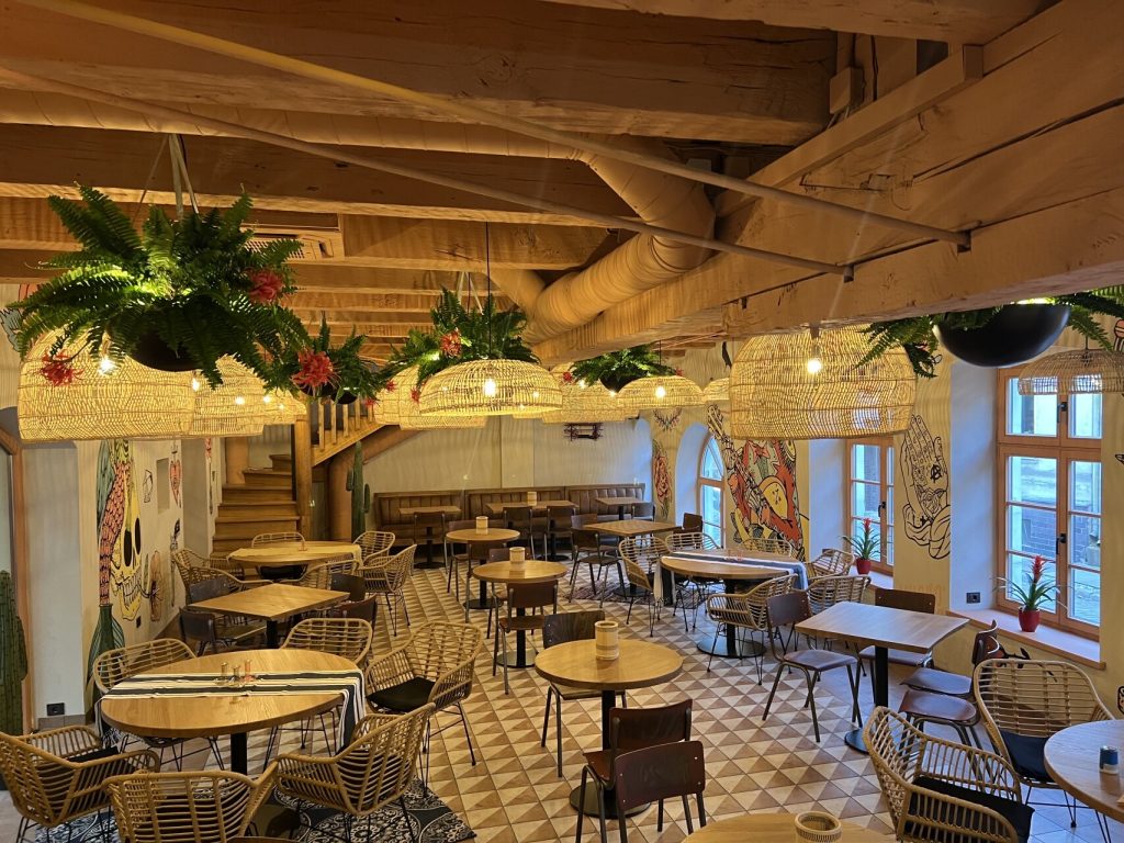Interior of “Casa de Locos” with plants