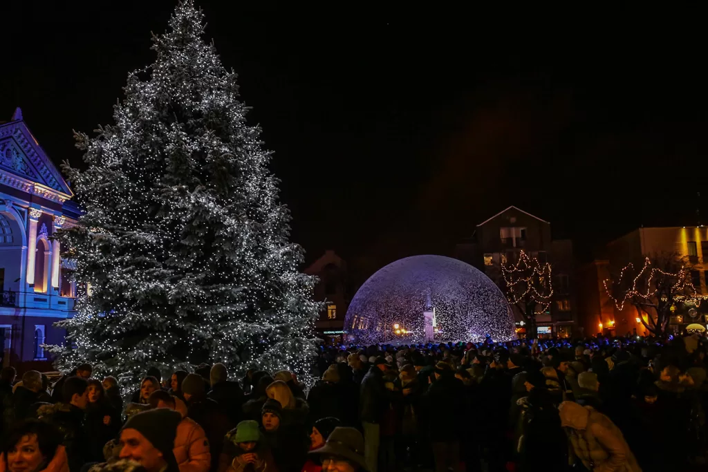 Klaipėda ieško Kalėdų eglutės