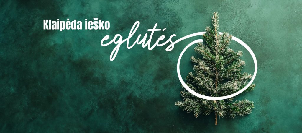 Klaipėda ieško Kalėdų eglutės