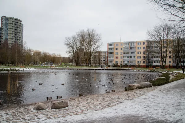 Miestą papuošė sutvarkytas Ąžuolyno giraitės parkas