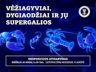 Nauja ekspozicija Lietuvos jūrų muziejuje