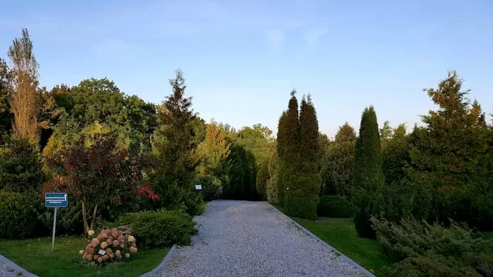 Klaipėdos universiteto Botanikos sode pradedamas kurti Rytų sodas