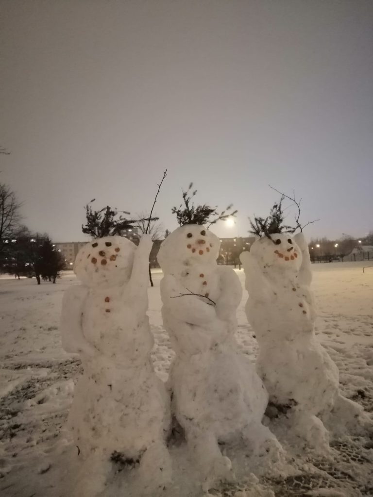 Sniego senių lipdymo banga