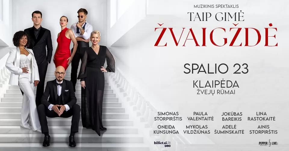 Muzikinis spektaklis „Taip gimė žvaigždė”